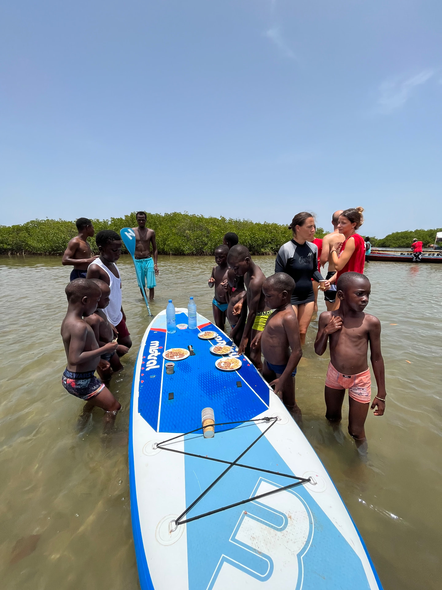 Sortie à la mangrove avec les enfants et les bénévoles