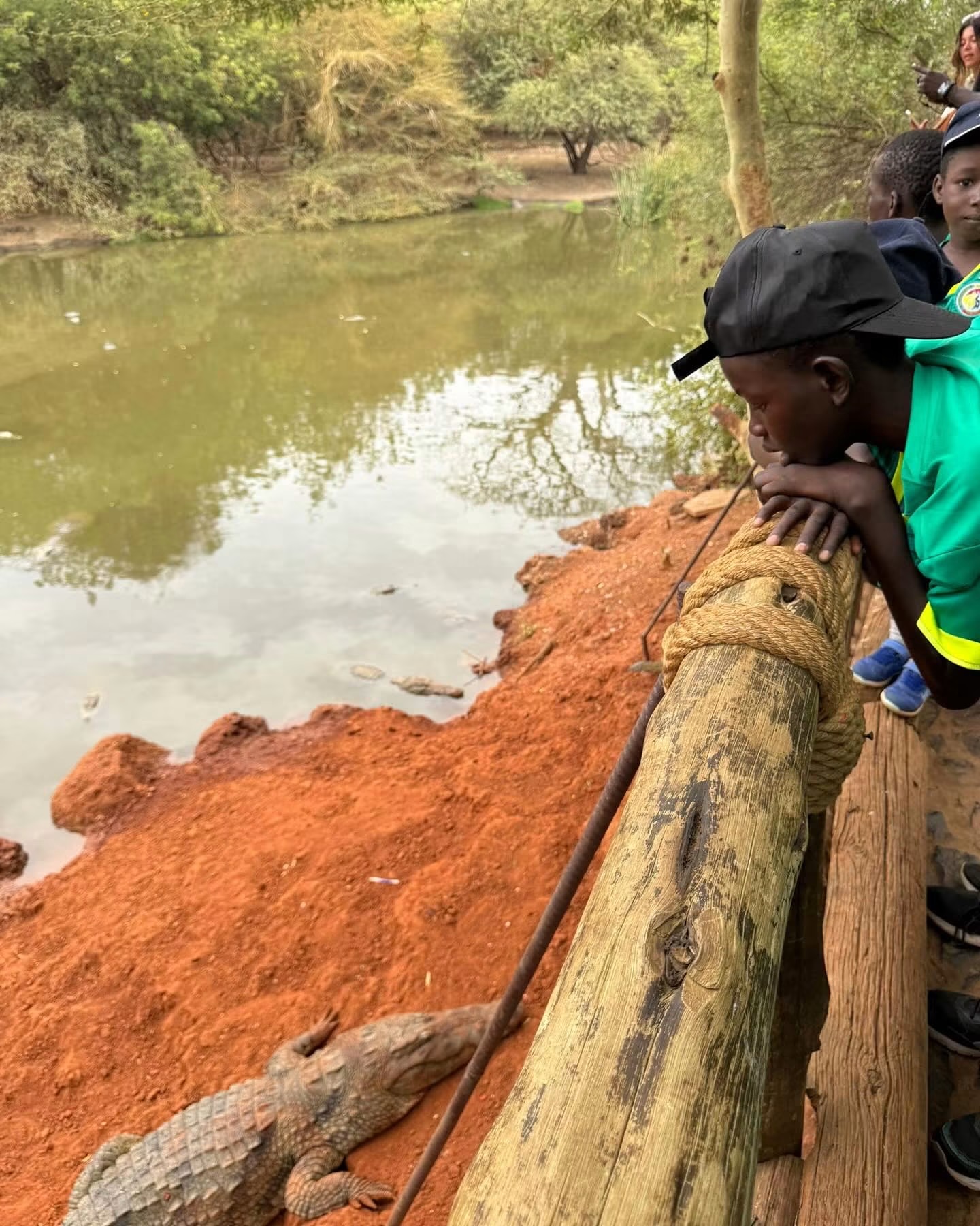 Enfant accoudé à une rambarde observant des crocodiles à la Réserve de Bandia