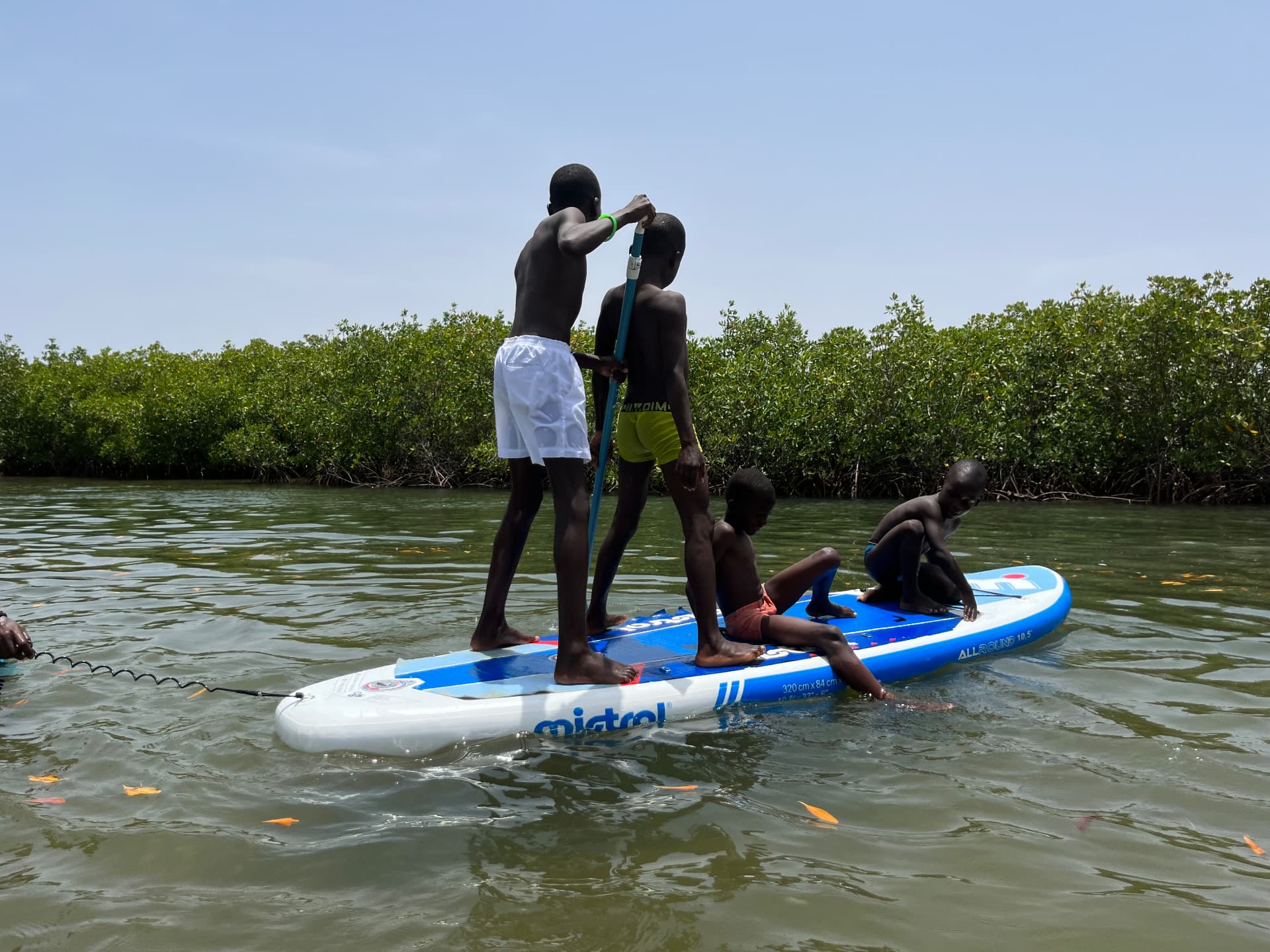 Enfants sur un paddle dans la mangrove au Sénégal