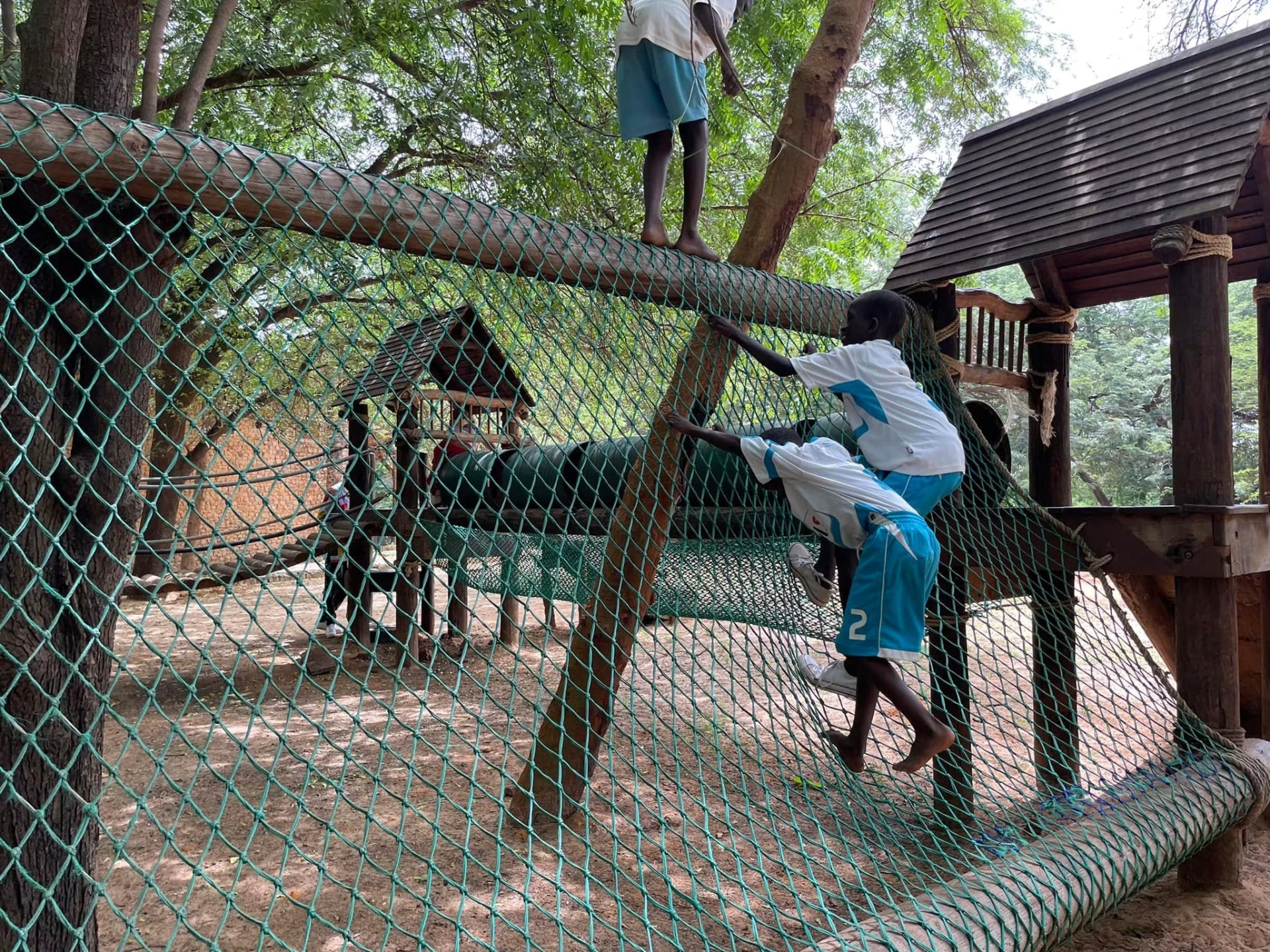 Enfants grimpant sur des filets d'un parcours d'aventure en bois